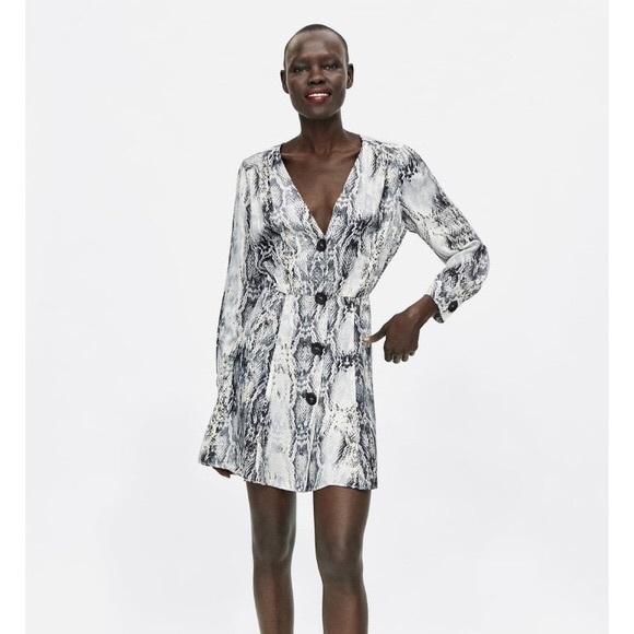 Zara Snake Skin Animal Print Silk Mini Dress - Picture 2 of 9